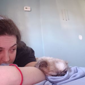 Meet your Posher, Niquette